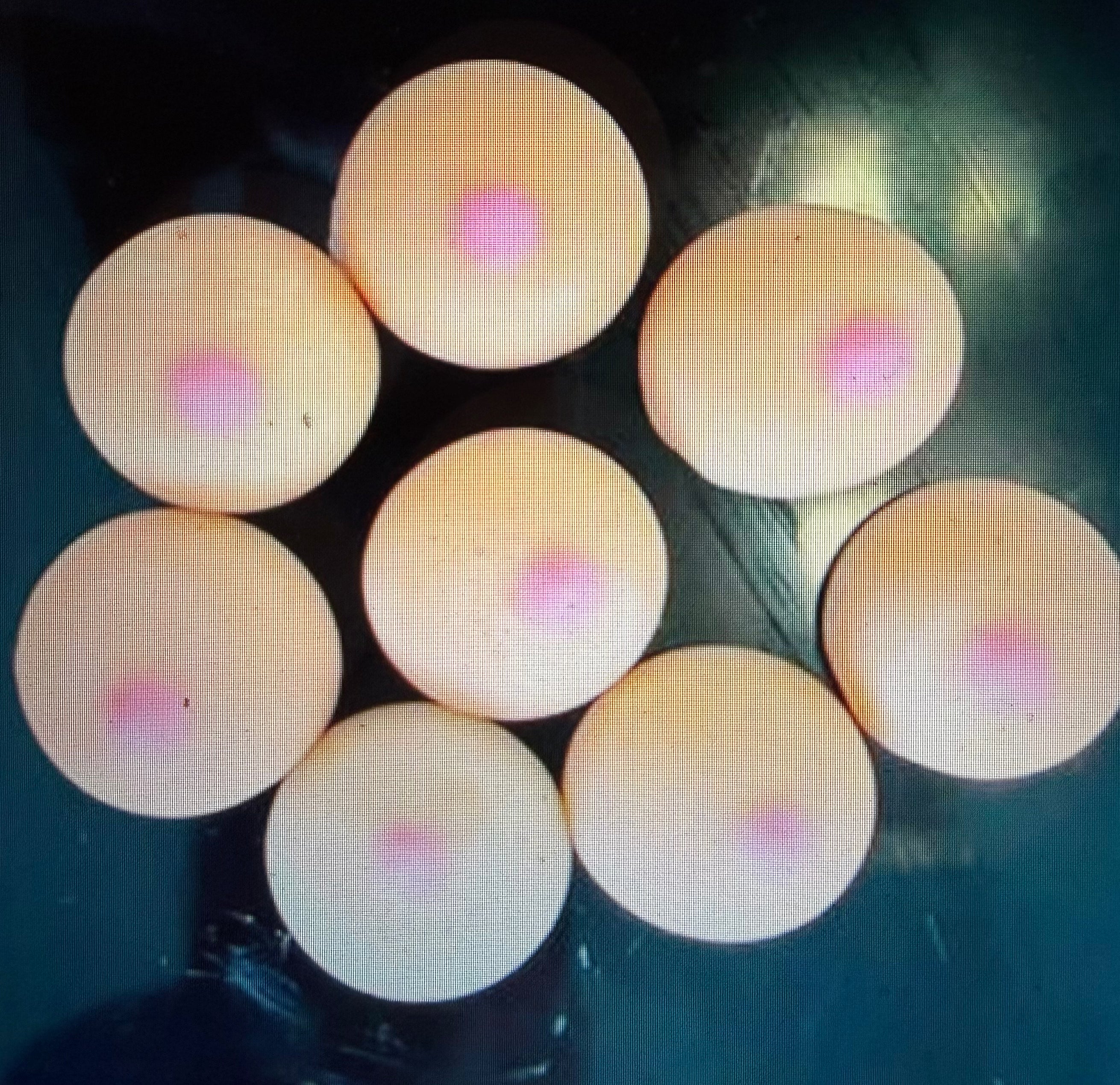 Boob Wax Melts